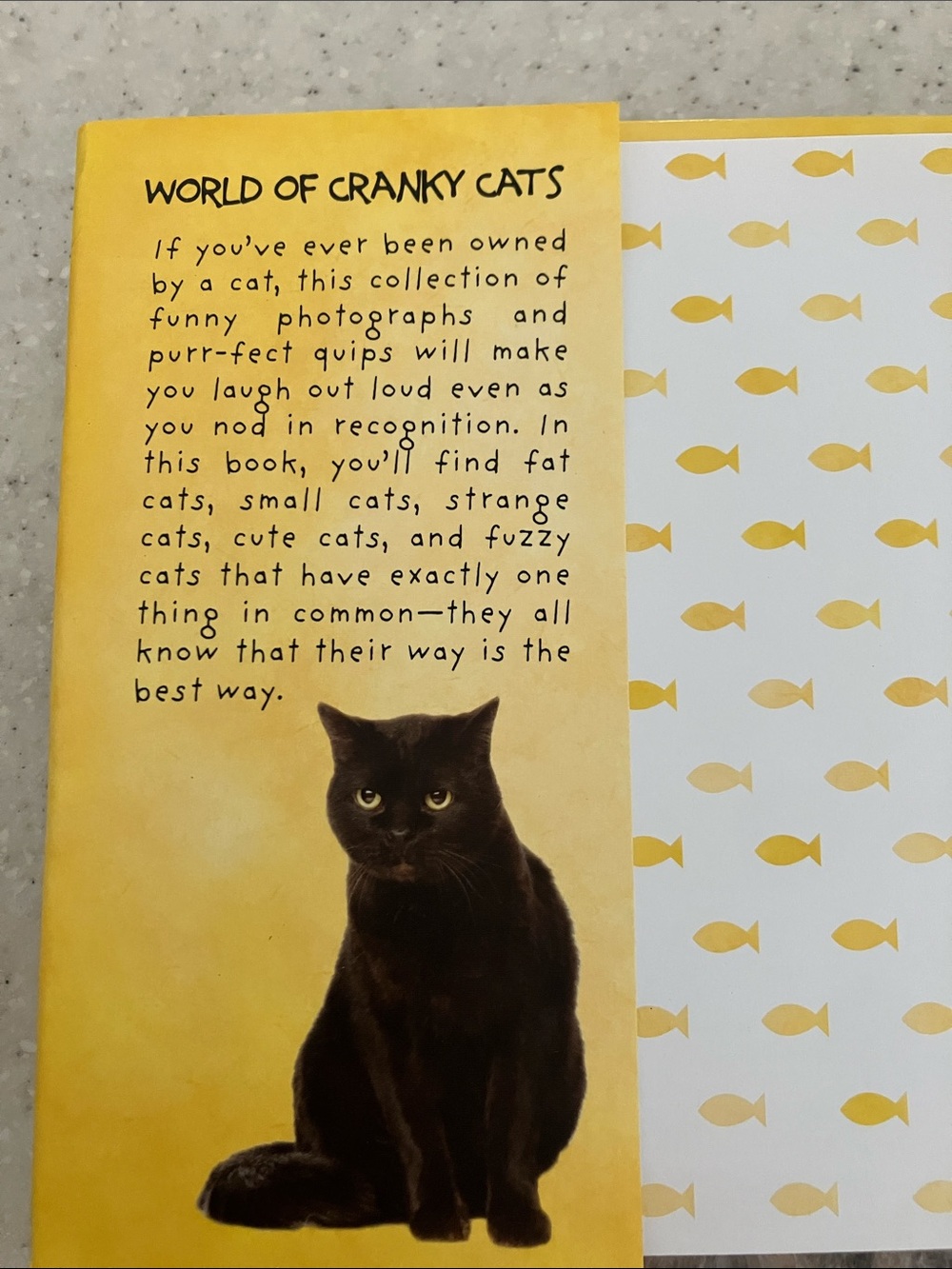 World of Cranky Cats Hardcover Full of Cattitude - Picture 3 of 7